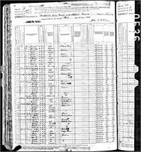 Sirles, Pallie 1880 Grayson KY.jpg