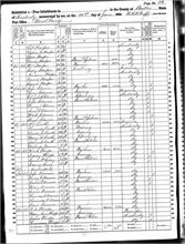 DeWeese, Malinda 1860 Butler KY Born 1851 KY.jpg