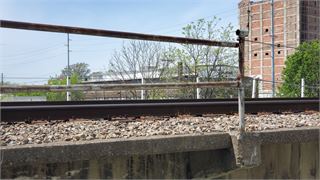 20250423_151349.jpg