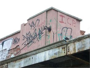 S_BSE-northwestcornerlookingsoutheast01.JPG