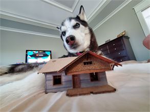 20220723_083826.jpg