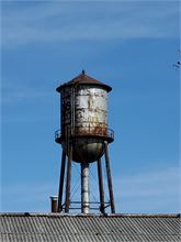 20220402_105939.jpg
