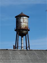 20220402_105945.jpg
