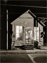 SHORPY-8c02470a.jpg