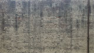 20250711_165555.jpg