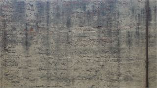 20250711_165645.jpg