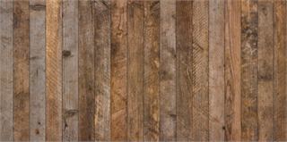 istockphoto-1083667218-612x612.jpg